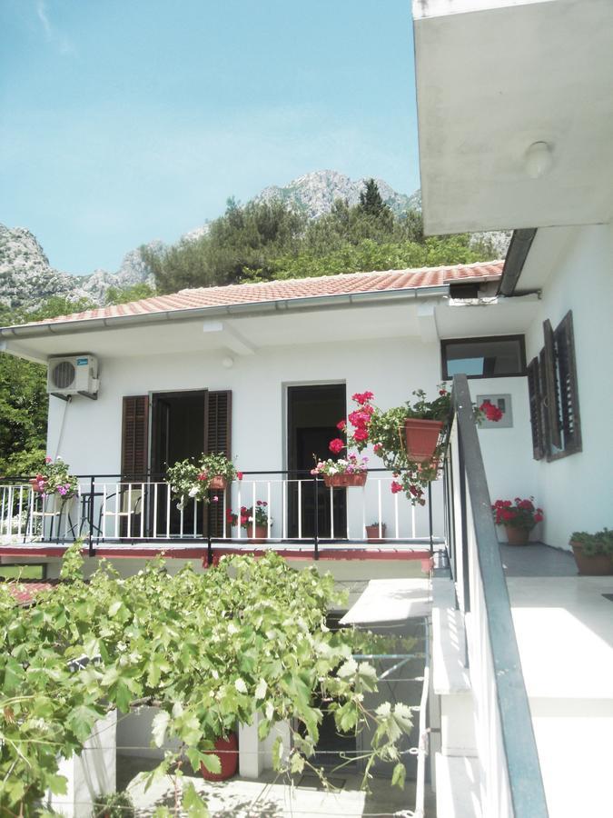 Apartment Ivana Kotor Extérieur photo