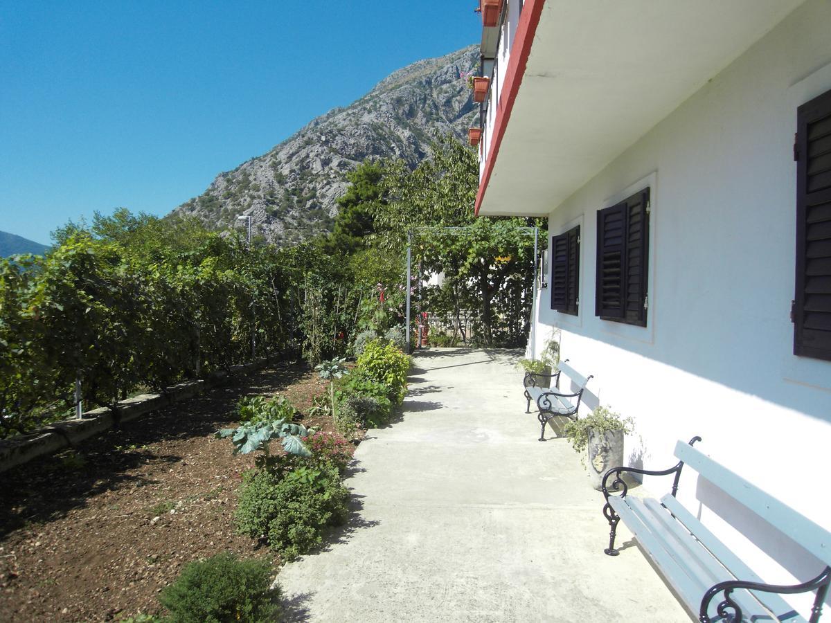 Apartment Ivana Kotor Extérieur photo